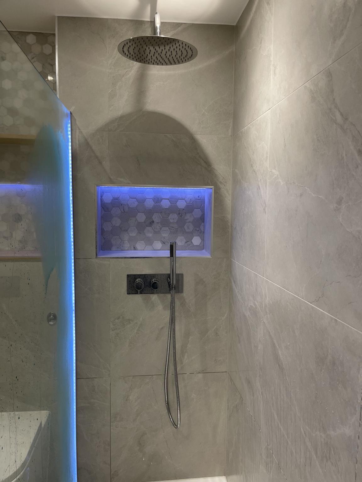 Blue LED light along the shower screen and inside the niche